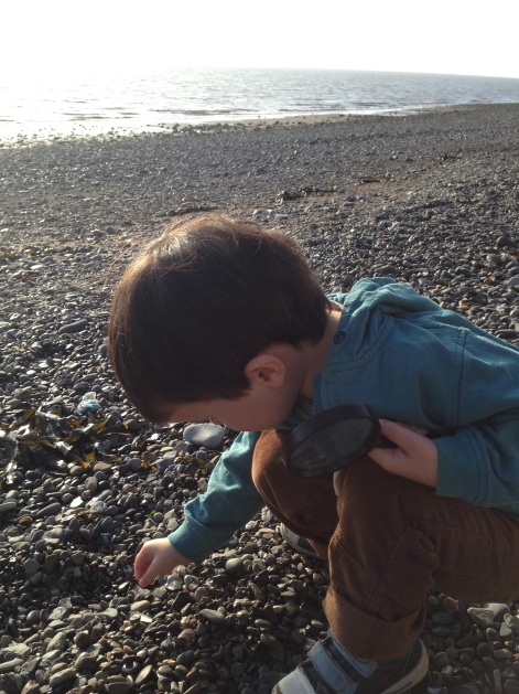 Eoin studies the pebbles